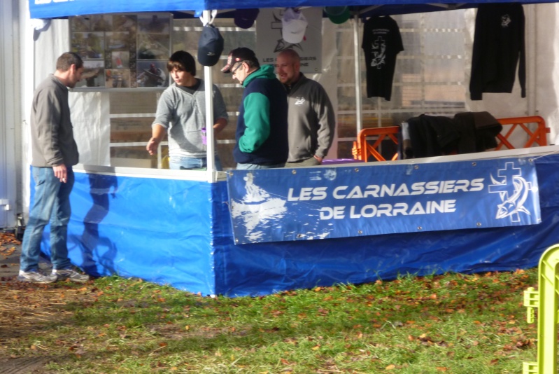 Les carnassiers de Lorraine à Lachaussée P1020611