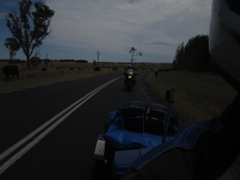 A ride through the Northern Tablelands 2014 - Page 4 09310