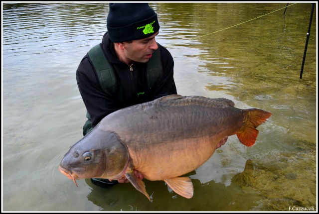 72h de pêche difficile, mais deux beau poissons au final. Dsc_3110