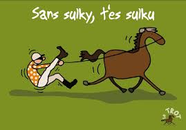 VINCENNES R1 - MERCREDI 3/12/2014 Sulky10