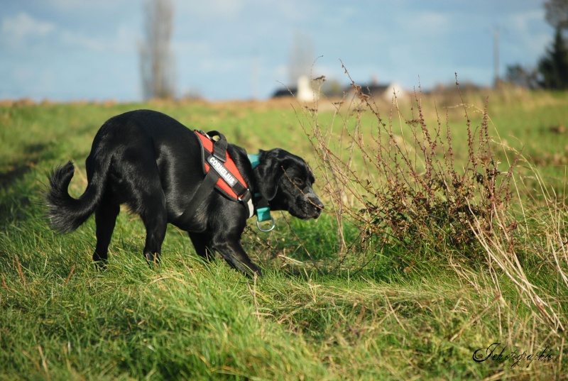 Louna et "..." - Page 6 Dsc_0211