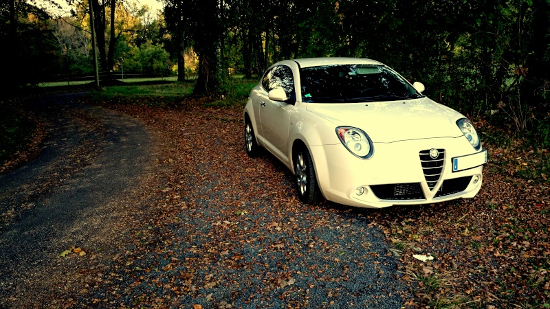 Concours photo n°37 Novembre 2014: "vos Alfa et les couleurs d'automne" Dsc_0410