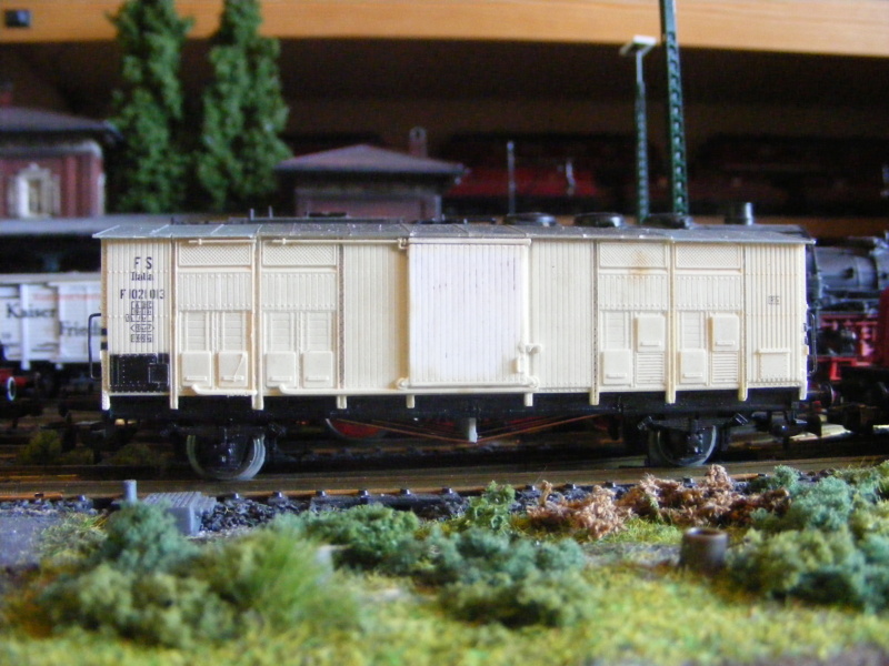 Gedeckte Güterwagen der FS (Ferrovie dello Stato Italiane) Dscf1802