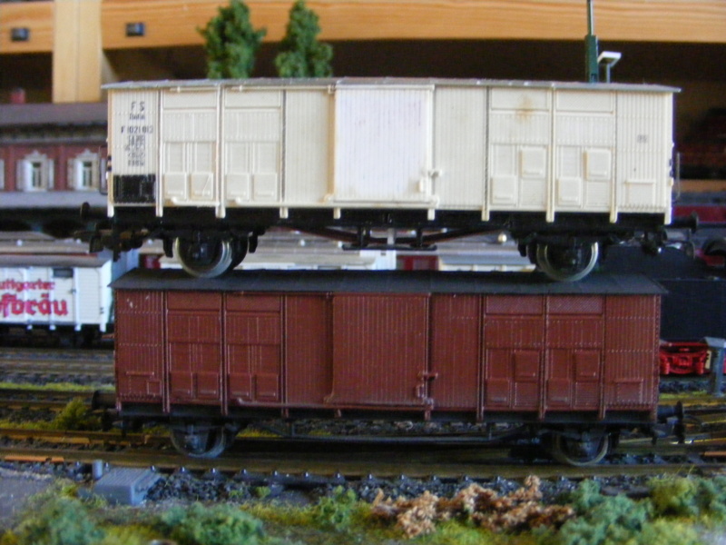 Gedeckte Güterwagen der FS (Ferrovie dello Stato Italiane) Dscf1863