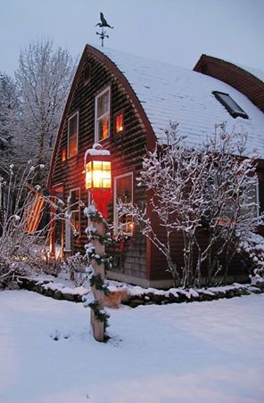Снимки от зимата и коледно украсени домове 10734010