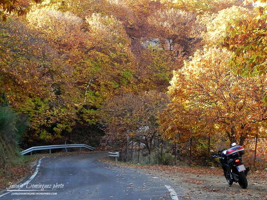 Otoño. "The fall", como dicen los anglosajones... Genal210