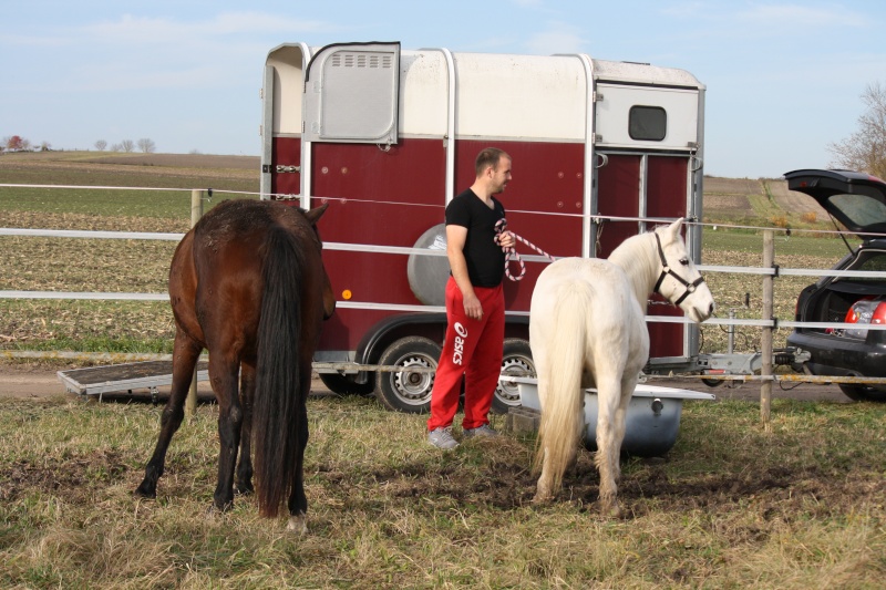 Dépt 84 TEXANE ONC Poney 26 ans réservée par Yoan (2014)Partie * - Page 2 Img_9910