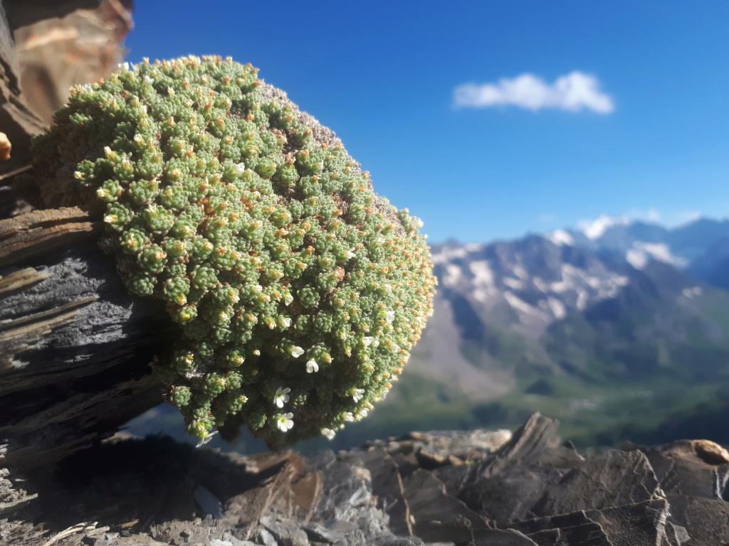 col du Granon 20190711