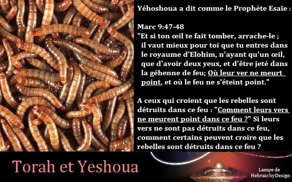 Les vers qui ne meurent point Gyhenn10