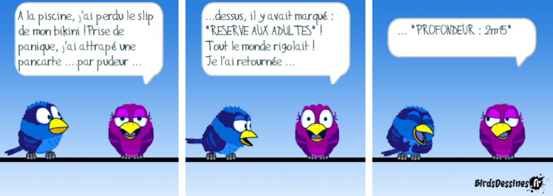 Les Birds - Page 9 14162410