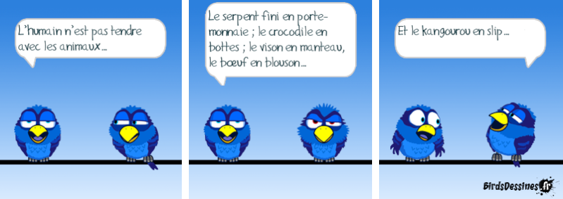 Les Birds - Page 9 14170210