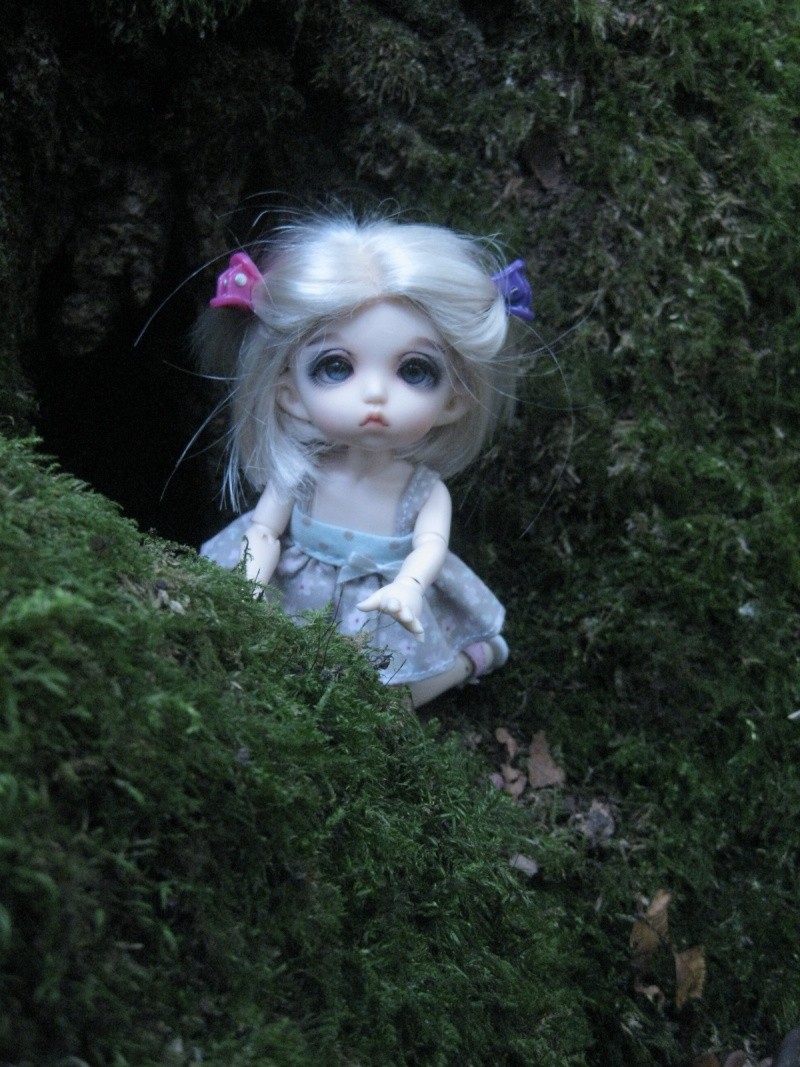 Melba, balade en forêt!  Img_3110