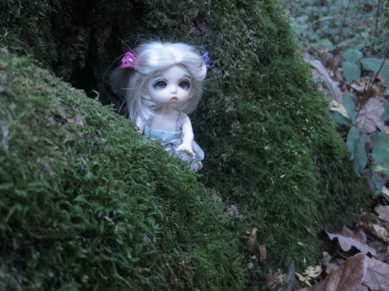Melba, balade en forêt!  Img_3111