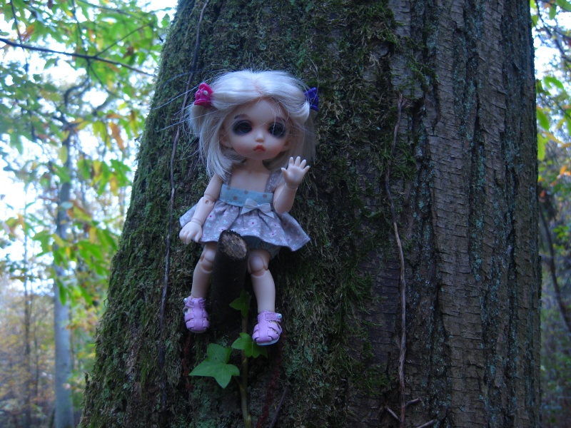 Melba, balade en forêt!  Img_3113
