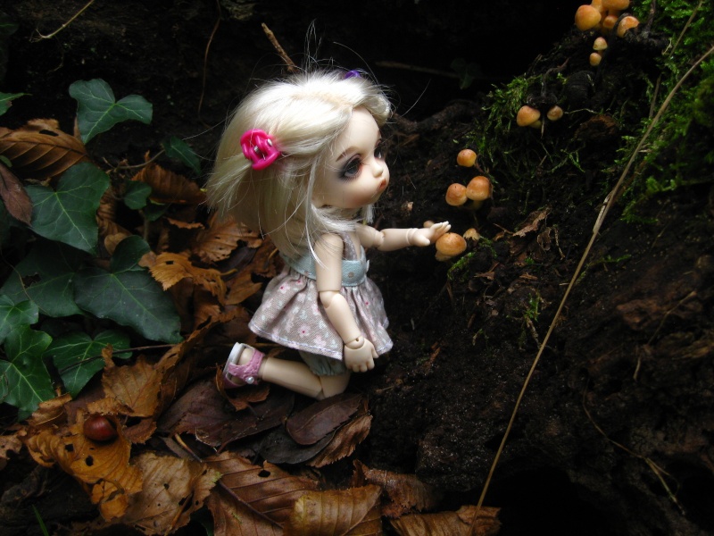 Melba, balade en forêt!  Img_3114