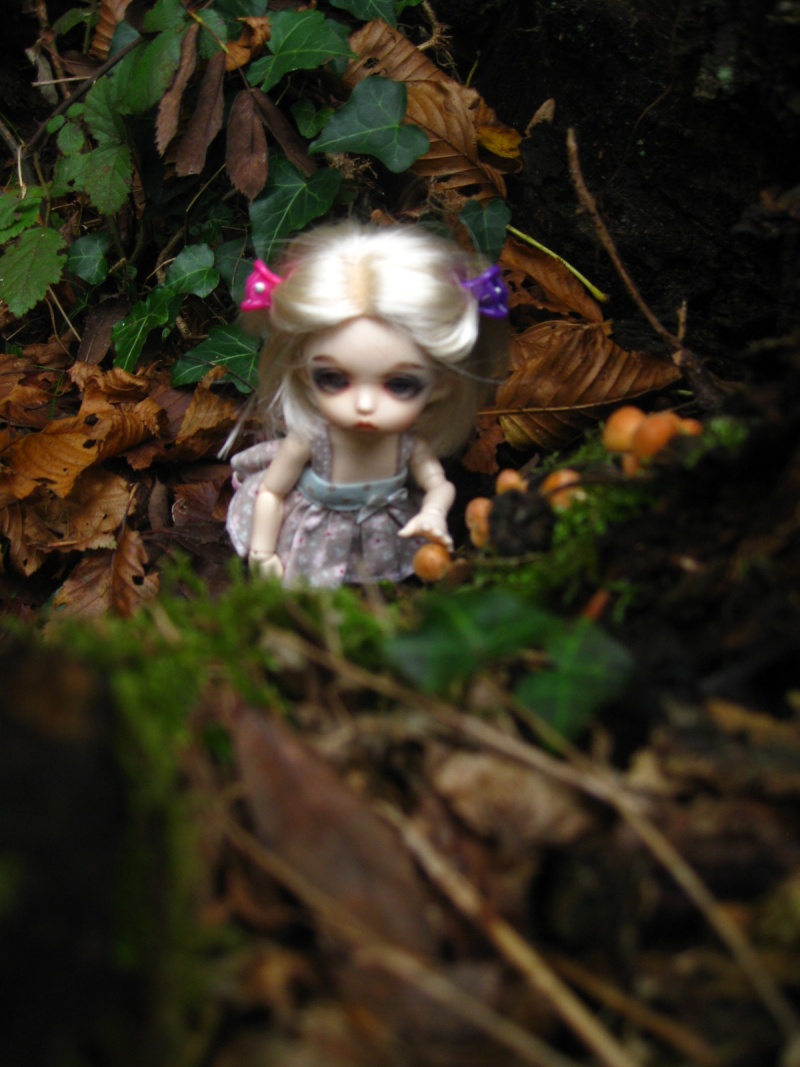 Melba, balade en forêt!  Img_3115