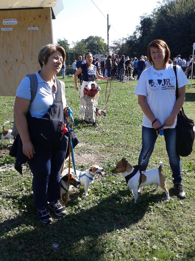 Jack - 5 OTTOBRE 2014 - JACK & PARSON RUSSELL COLOSSAL DAY 20141010
