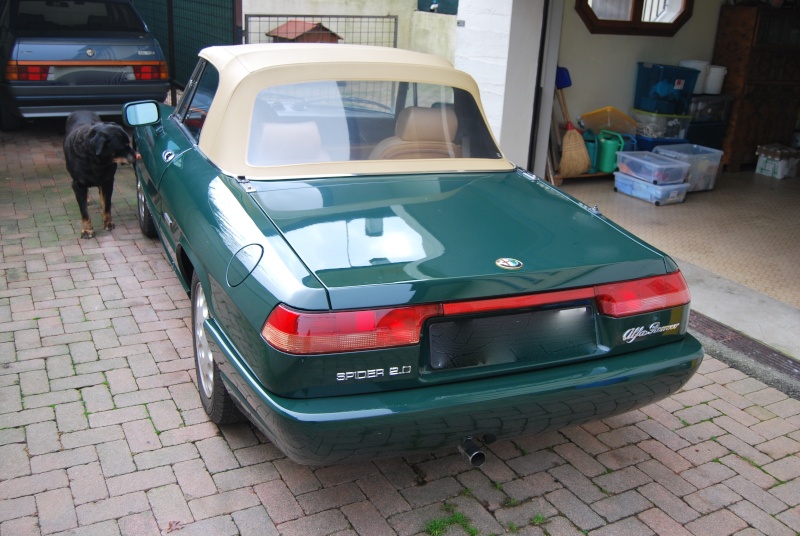 alfa romeo - Ghid Vs. Alfa Romeo Spider/Duetto verde inglese-beige 310