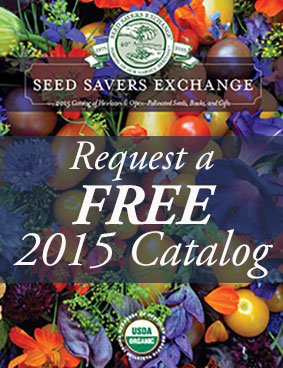 New Seed Catalog !! Seed_s10