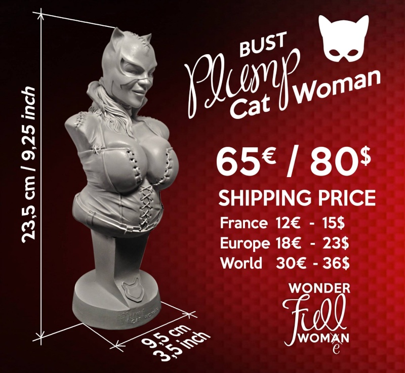 Les travaux de Seb06 Wonder Woman et Catwoman plus size - Page 11 Cat_wo13