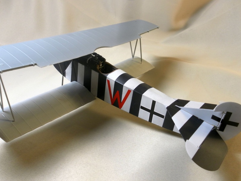 fokker DVIIF  wingnut wing 1/32 - Page 3 F110