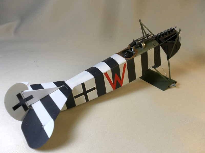 fokker DVIIF  wingnut wing 1/32 - Page 3 Sam_2217