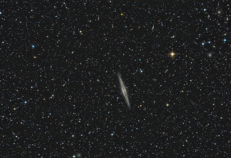NGC 891 - Page 2 Ngc_8912