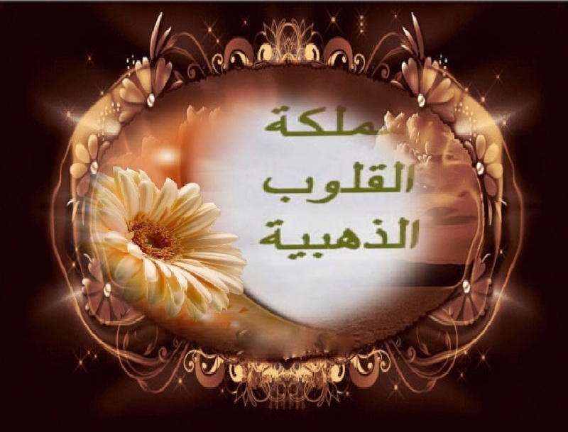 اترك رساله ... - صفحة 17 8yf51s11