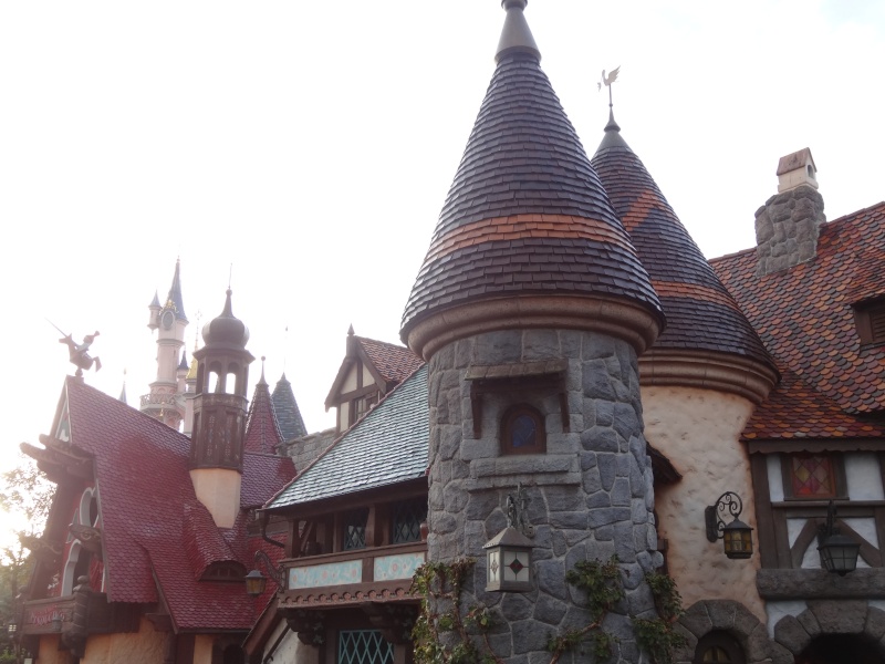 ratatouille - TR: séjour du 16 au 22 octobre 2014: de retour à Disneyland Paris en famille avec live, ride par ride et découverte de Ratatouille! - Page 3 Dsc06711