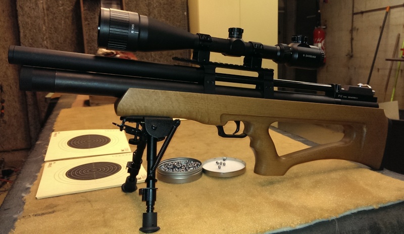 SPA P12 bullpup (95% de Chinoiserie et 5% de Gouda) P12_d10