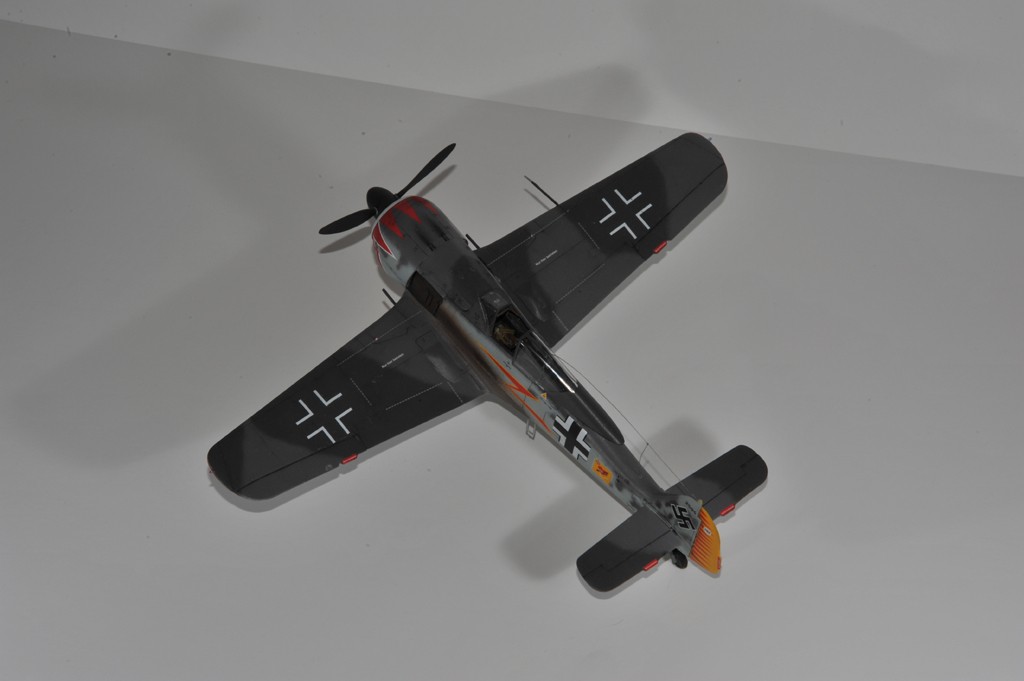 Focke Wulf FW 190 A5 Hermann Graf Nouvelles Photos 29/11/14 Dsc_2117