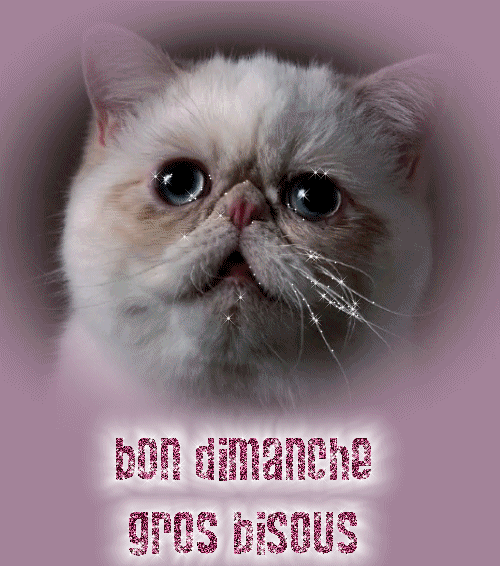 Bonjour du jour :) - Page 6 A90fa510