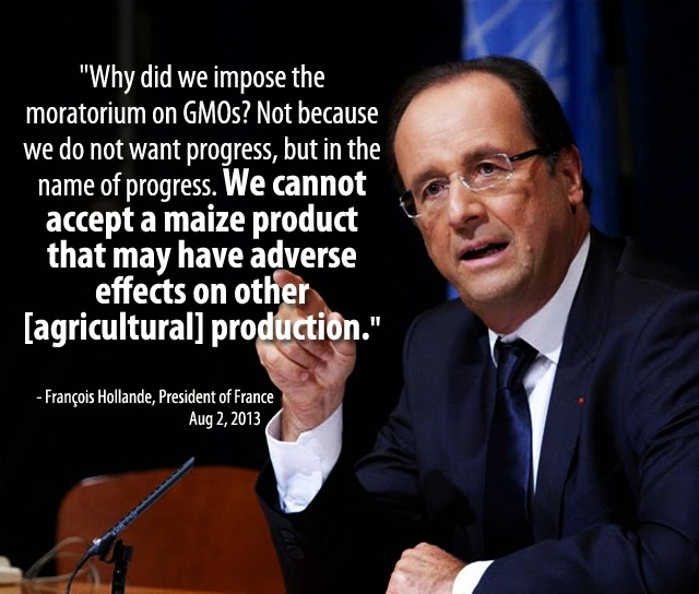 GMO technology, tinkering with the building blocks of our bodies? Quote-10