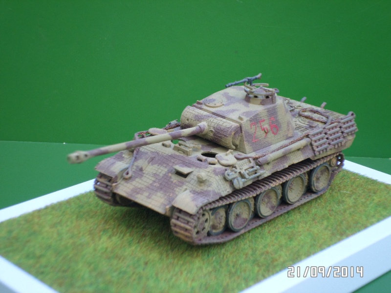 ( ESCI ) Panther Ausf D  Sam_4110