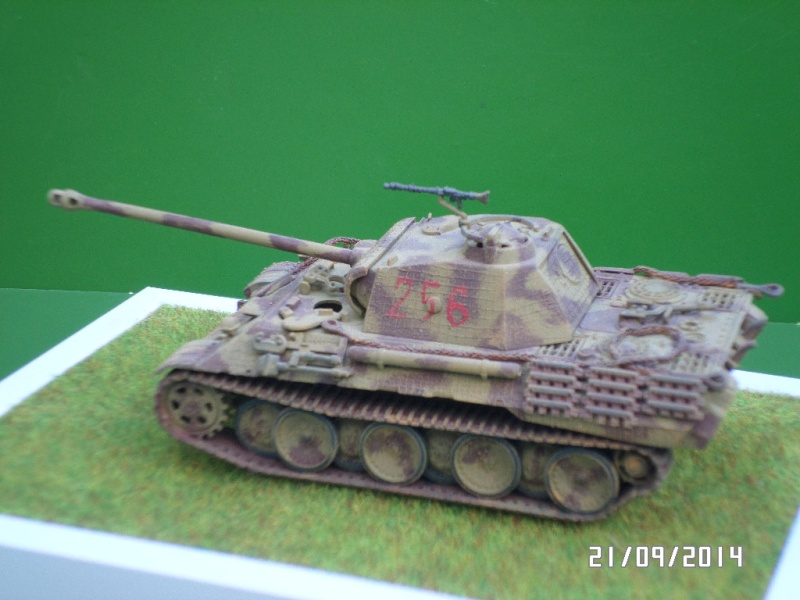 ( ESCI ) Panther Ausf D  Sam_4111
