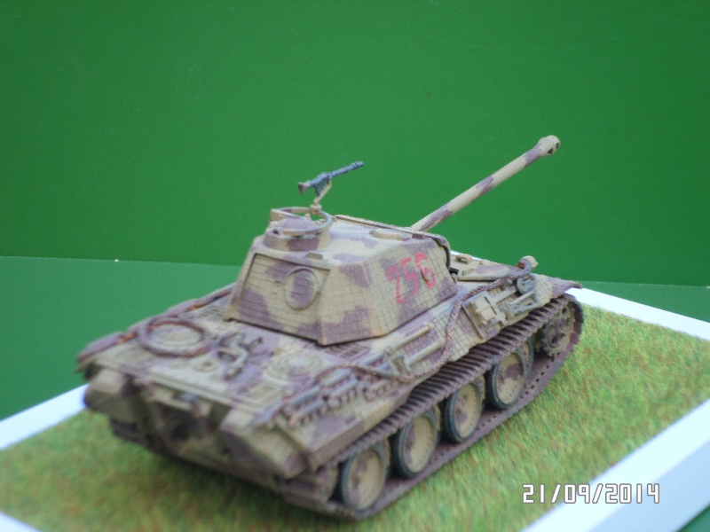 ( ESCI ) Panther Ausf D  Sam_4112