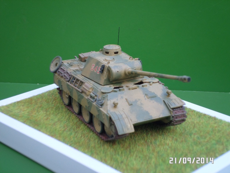 ( REVELL )   Panther Ausf D Sam_4114