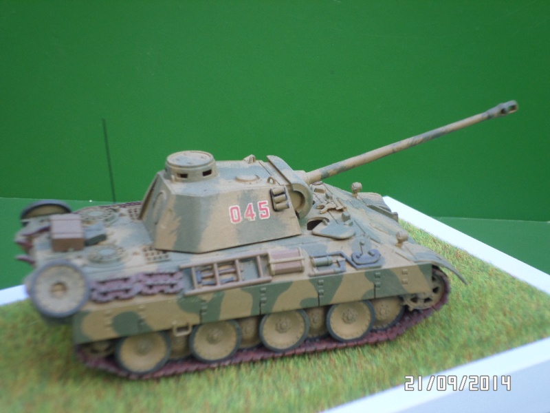 ( REVELL )   Panther Ausf D Sam_4115