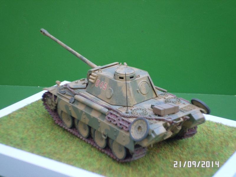 ( REVELL )   Panther Ausf D Sam_4116