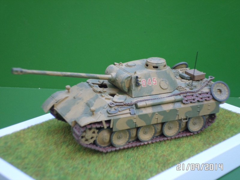 ( REVELL )   Panther Ausf D Sam_4117