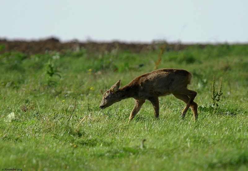 Rencontre Img_6811