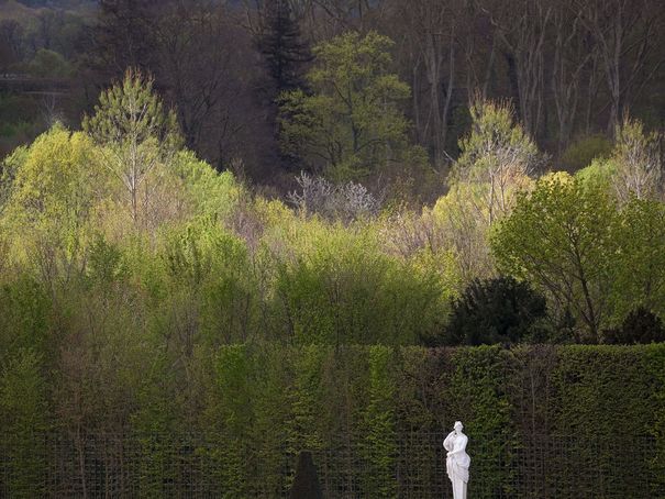 Une année dans les Jardins de Versailles : Photos d'Hervé Ternisien Demi-l10