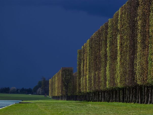 Une année dans les Jardins de Versailles : Photos d'Hervé Ternisien Grand-10