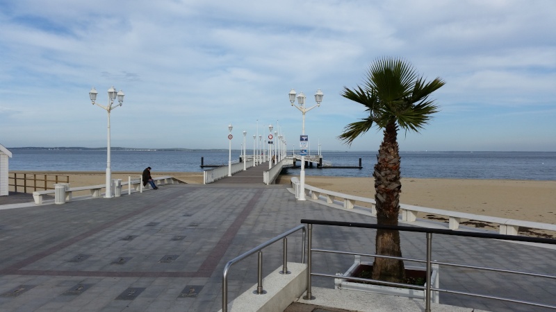 [ballade arcachon] le 28/11/2014  20141137