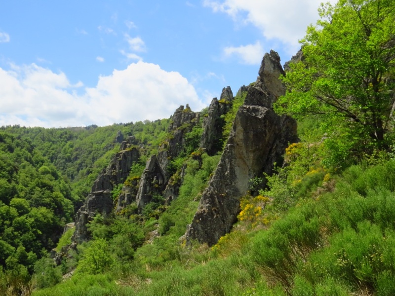 Les gorges du Bès Img_8813