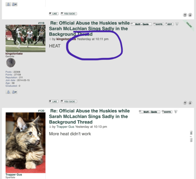 Official Abuse the Huskies while Sarah McLachlan Sings Sadly in the Background Thread - Page 4 D899b910