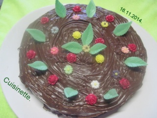 Gâteau fourré à l'orange. nappage chocolat nutela.+ photos. Img_3713