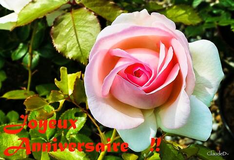 Bon Anniversaire Marie Helene