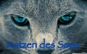 Katzen des Sees - Das WaCa RPG Katzen15