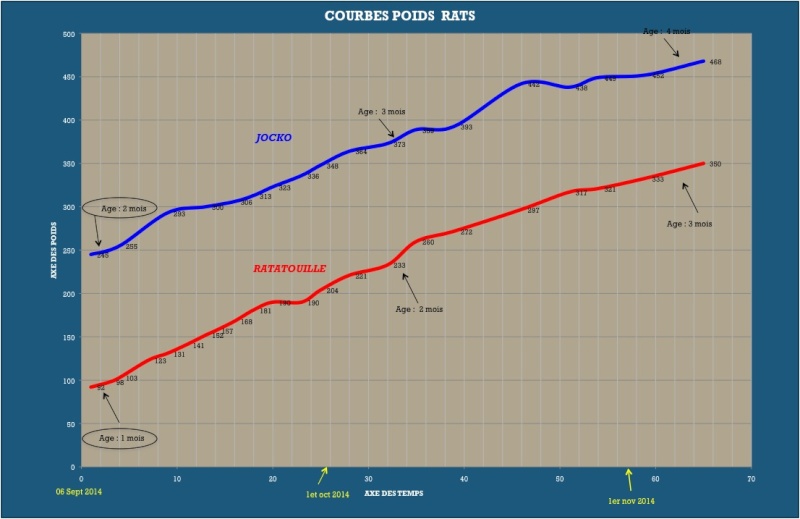 Et voici notre bébé Rat des champs : Ratatouille  - Page 16 Poids12